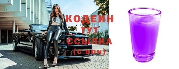 крисы Ельня