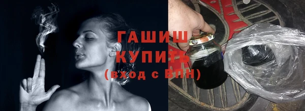 крисы Ельня