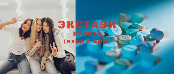 крисы Ельня