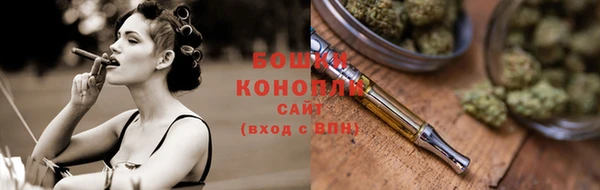 прущие грибы Елабуга