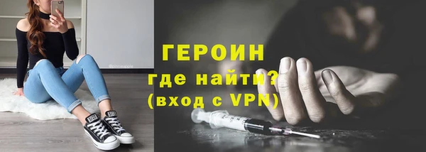 прущие грибы Елабуга