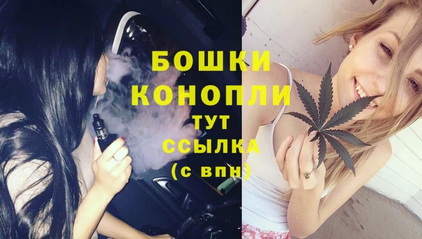 крисы Шарыпово